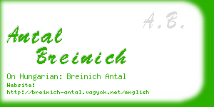 antal breinich business card
